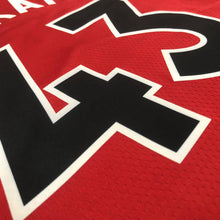 Carregar imagem no visualizador da galeria, Jersey Toronto Raptors Icon Edition 22/23 - GOAT STORE
