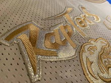 Carregar imagem no visualizador da galeria, Jersey Toronto Raptors Especial Mitchell and Ness - Vince Carter - GOAT STORE
