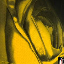 Carregar imagem no visualizador da galeria, Jersey Golden State Warriors City Edition 22/23 - GOAT STORE
