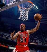 Carregar imagem no visualizador da galeria, Jersey Chicago Bulls - Dennis Rodman - GOAT STORE
